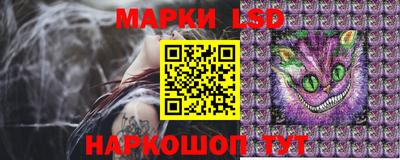 крисы Моздок
