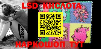 крисы Моздок