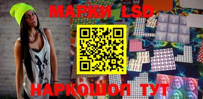 крисы Моздок