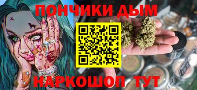 крисы Моздок