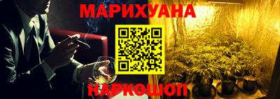 крисы Моздок
