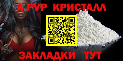 крисы Моздок